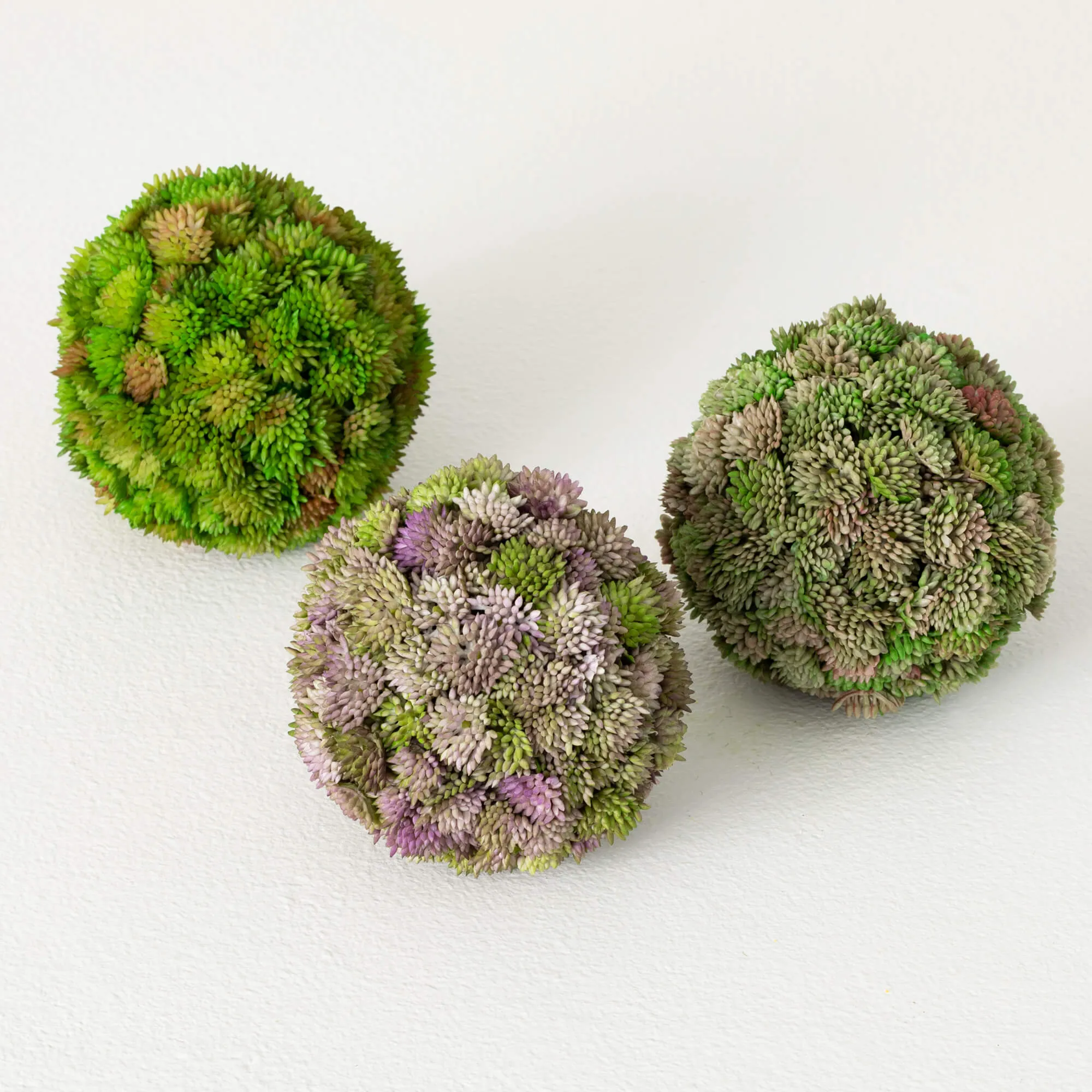 4.25"H Sullivans Colorful Sedum Orb Set of 3, Multicolored