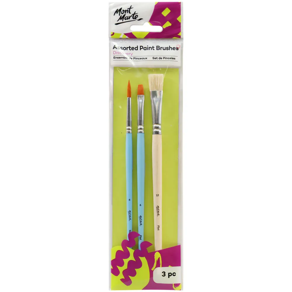 Assorted Paint Brushes Discovery 3pc