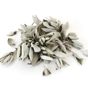 California White Loose Leaf Sage