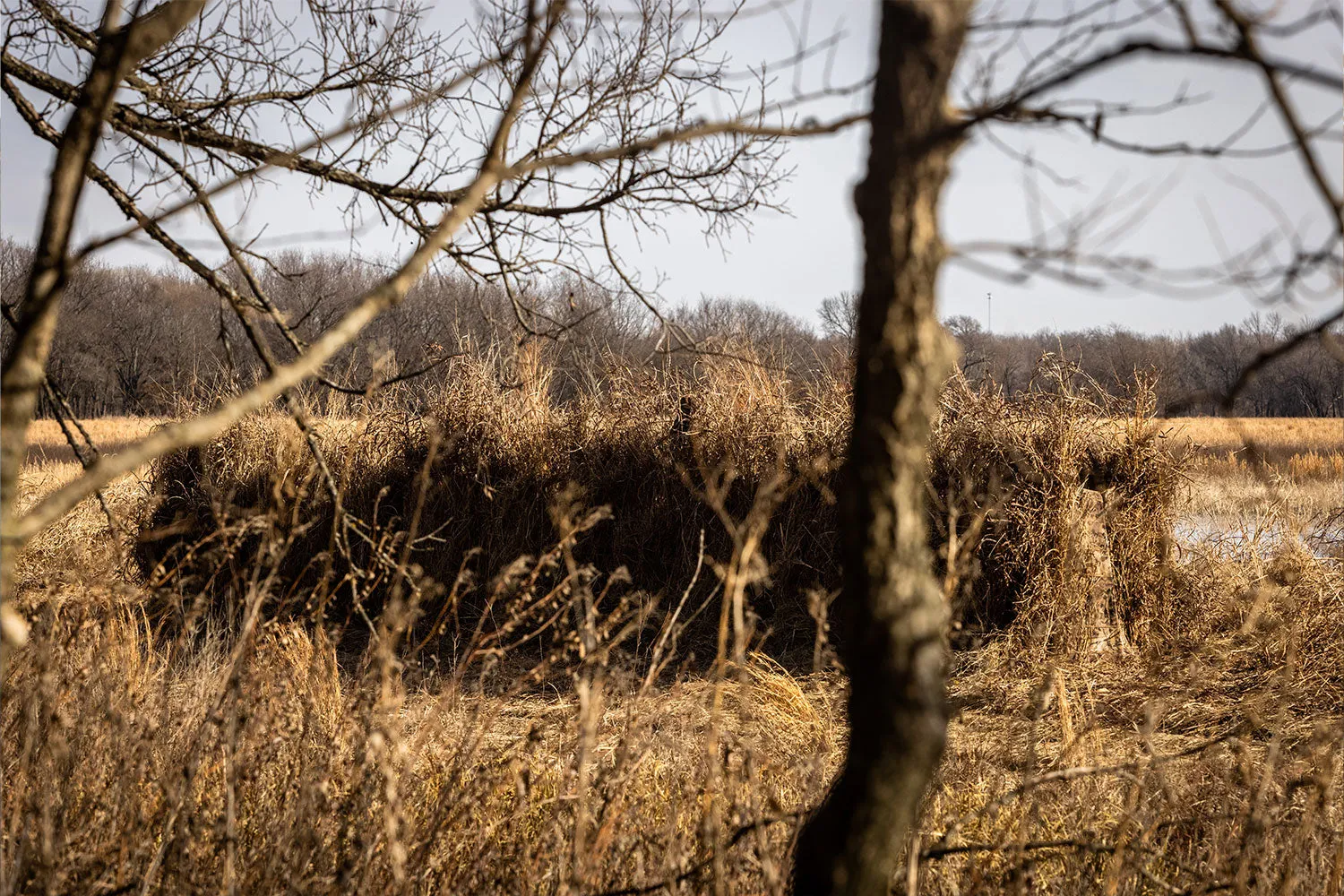 Flight Series Panel Blind - Optifade Marsh