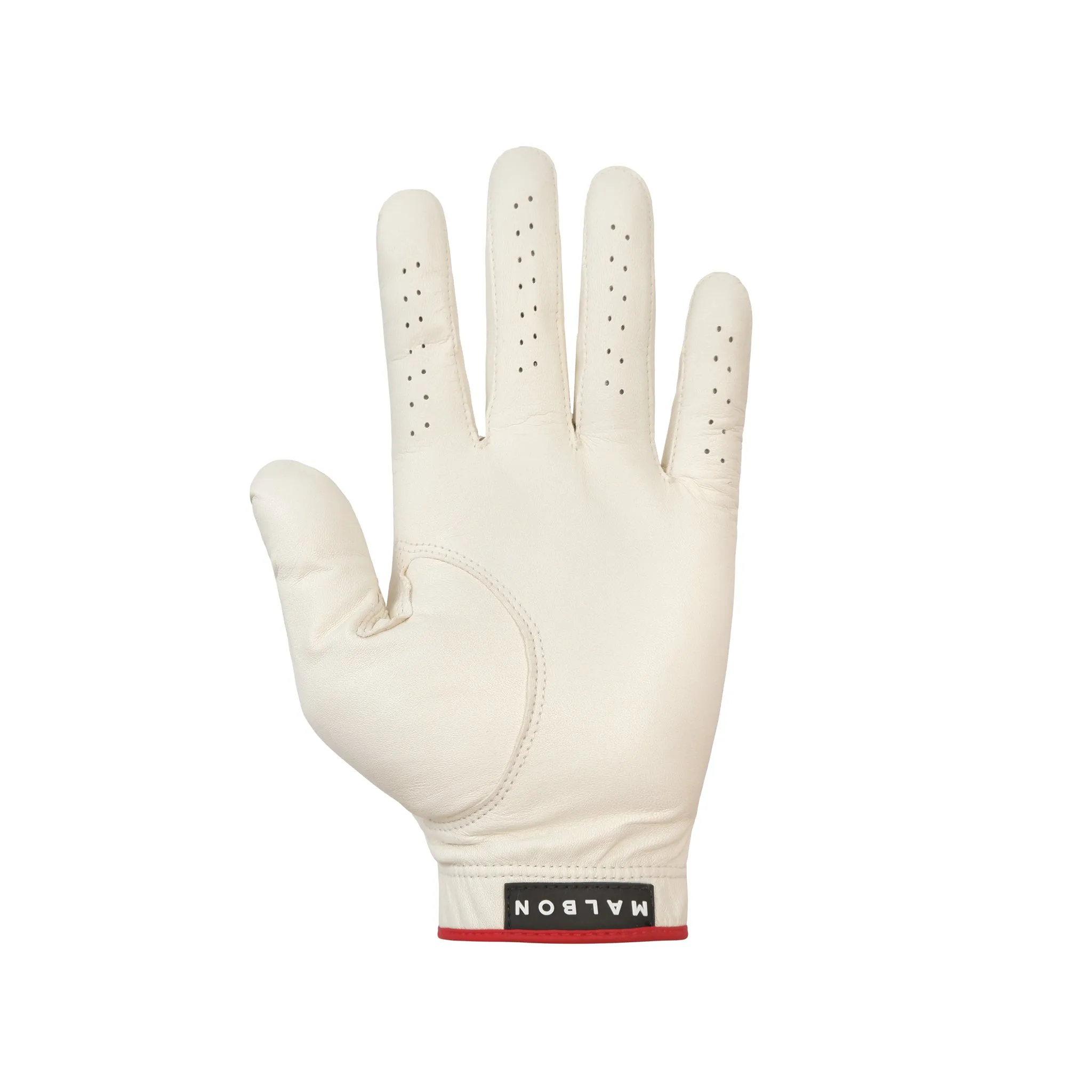 IRIS GLOVE